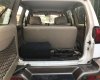 Nissan Terrano II 2.4MT 2001 - Cần bán lại xe Nissan Terrano II 2.4MT đời 2001, màu trắng, nhập khẩu nguyên chiếc chính chủ, 175tr