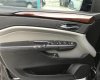 Cadillac SRX 4 3.0 AWD 2009 - Chính chủ bán Cadillac SRX STX4 3.0 AWD đời 2009, màu đen