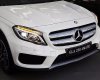 Mercedes-Benz GLA-Class GLA250 2017 - Cần bán xe Mercedes GLA250 đời 2017, màu trắng, xe nhập