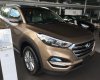 Hyundai Tucson 2.0 2017 - Bán Hyundai Tucson 2.0 máy xăng, bản tiêu chuẩn đời 2017, màu nâu tại Đắk Lắk