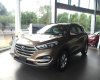 Hyundai Tucson 2.0 2017 - Bán Hyundai Tucson 2.0 máy xăng, bản tiêu chuẩn đời 2017, màu nâu tại Đắk Lắk