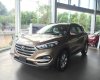 Hyundai Tucson 2.0 2017 - Bán Hyundai Tucson 2.0 máy xăng, bản tiêu chuẩn đời 2017, màu nâu tại Đắk Lắk