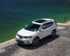 Nissan X trail 2016 - Cần bán xe Nissan X trail đời 2016, màu bạc, nhập khẩu 