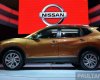 Nissan X trail 2016 - Cần bán xe Nissan X trail đời 2016, màu bạc, nhập khẩu 