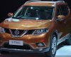 Nissan X trail 2016 - Cần bán xe Nissan X trail đời 2016, màu bạc, nhập khẩu 