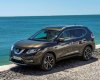 Nissan X trail 2016 - Cần bán xe Nissan X trail đời 2016, màu bạc, nhập khẩu 