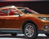 Nissan X trail 2016 - Cần bán xe Nissan X trail đời 2016, màu bạc, nhập khẩu 