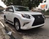 Lexus GX 460 Premium 2017 - Bán Lexus GX460 nhập Mỹ, đủ màu, xe giao ngay