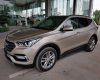 Hyundai Santa Fe 2018 - Cần bán xe Hyundai Santa Fe đời 2018 - đầy đủ khuyến mại, xe giao ngay, liên hệ Thành Trung: 0941.367.999