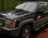 Jeep Grand Cheroke 1994 - Bán gấp Jeep Grand Cheroke đời 1994, màu xanh lam, xe nhập