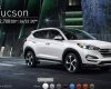 Hyundai Tucson 2017 - Bán Hyundai Tucson đời 2017, màu đỏ, xe nhập, giá 815tr
