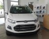 Ford EcoSport    2017 - Bán Ford EcoSport sản xuất 2017, màu trắng