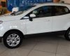 Ford EcoSport    2017 - Bán Ford EcoSport sản xuất 2017, màu trắng