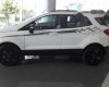 Ford EcoSport    2017 - Cần bán xe Ford EcoSport 2017, màu trắng