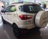 Ford EcoSport    2017 - Cần bán xe Ford EcoSport 2017, màu trắng