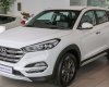 Hyundai Tucson 2017 - Bán Hyundai Tucson 2017, màu trắng, xe nhập.
