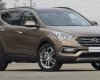 Hyundai Santa Fe 2.2L 2017 - Cần bán xe Hyundai Santa Fe 2.2L đời 2017