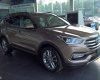 Hyundai Santa Fe 2017 - Bán xe Hyundai Santa Fe đời 2017, màu nâu, nhập khẩu  