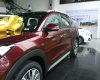 Hyundai Tucson 2.0  AT  2017 - Bán Hyundai Tucson 2.0 AT năm 2018, màu đỏ, giá chỉ 890 triệu