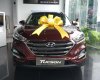 Hyundai Tucson 2.0  AT  2017 - Bán Hyundai Tucson 2.0 AT năm 2018, màu đỏ, giá chỉ 890 triệu