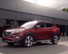 Hyundai Tucson 2017 - Cần bán Hyundai Tucson đời 2017, màu đỏ, giá chỉ 790 triệu đến ngay Hyundai Bắc Ninh để nhận ưu đãi tốt nhất