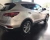 Hyundai Santa Fe 2.2L 4WD 2017 - Bán ô tô Hyundai Santa Fe 2.2L 4WD đời 2017