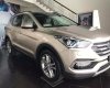 Hyundai Santa Fe 2.2L 4WD 2017 - Bán ô tô Hyundai Santa Fe 2.2L 4WD đời 2017