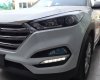 Hyundai Tucson 2017 - Cần bán Hyundai Tucson 2017, màu trắng, nhập khẩu nguyên chiếc, giá chỉ 780 triệu