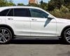 Mercedes-Benz GLC-Class  GLC250  2016 - Bán ô tô Mercedes GLC250 đời 2016, màu trắng, nhập khẩu