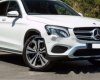 Mercedes-Benz GLC-Class  GLC250  2016 - Bán ô tô Mercedes GLC250 đời 2016, màu trắng, nhập khẩu