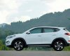Hyundai Tucson 2.0 2017 - Bán xe Hyundai Tucson 2.0 sản xuất 2017, màu trắng giá cạnh tranh