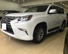 Lexus GX460 2013 - Xe Lexus GX460 SX2013, màu trắng, nhập khẩu Mỹ đăng ký 2014 Hà Nội 