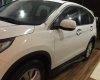 Honda CR V 2.0 AT 2014 - Xe Honda CR V 2.0 đời 2014, màu trắng, 696 triệu