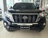 Toyota Prado VX 2.7L 2017 - Bán Toyota Prado sản xuất 2017, màu đen, xe nhập