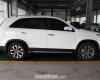 Kia Sorento 2017 - Bán Kia Sorento đời 2017, màu trắng, nhập khẩu