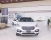 Hyundai Santa Fe G 2017 - [Hyundai Huế] Cần bán Hyundai Santa Fe đời 2018, xăng, tiêu chuẩn, chính hãng, khuyến mãi khủng - LH: 0903545725