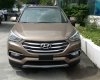 Hyundai Santa Fe 2017 - Bán Hyundai Santa Fe giảm shock lên đến 130 triệu + bảo hiểm vật chất và hơn thế nữa