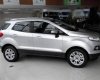 Ford EcoSport   2017 - Bán xe Ford EcoSport năm 2017, màu bạc