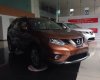 Nissan X trail 2016 - Cần bán lại xe Nissan X trail đời 2016, màu nâu giá cạnh tranh