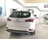 Hyundai Santa Fe    2017 - Bán xe Hyundai Santa Fe đời 2017, màu trắng
