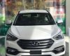 Hyundai Santa Fe    2017 - Bán xe Hyundai Santa Fe đời 2017, màu trắng