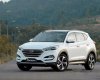 Hyundai Tucson 2017 - Bán Hyundai Tucson đời 2017, màu trắng, 870tr