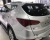 Hyundai Santa Fe 2017 - Bán Hyundai Santa Fe năm 2017, màu bạc giá cạnh tranh