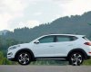 Hyundai Tucson 2017 - Bán Hyundai Tucson đời 2017, màu trắng, 870tr