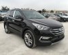 Hyundai Santa Fe   2017 - Bán Hyundai Santa Fe sản xuất 2017, màu đen, 898tr