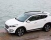 Hyundai Tucson 2017 - Bán Hyundai Tucson đời 2017, màu trắng, 870tr