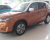 Suzuki Vitara 2017 - Suzuki Lâm Đồng - Vitara nhập khẩu nguyên chiếc từ châu Âu