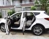Hyundai Santa Fe 2017 - Cần bán xe Hyundai Santa Fe đời 2017, màu trắng