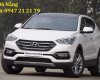 Hyundai Santa Fe 2017 - Bán xe Hyundai Santa Fe đời 2017, màu đỏ, xe nhập