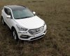 Hyundai Santa Fe 2017 - Cần bán xe Hyundai Santa Fe đời 2017, màu trắng, nhập khẩu